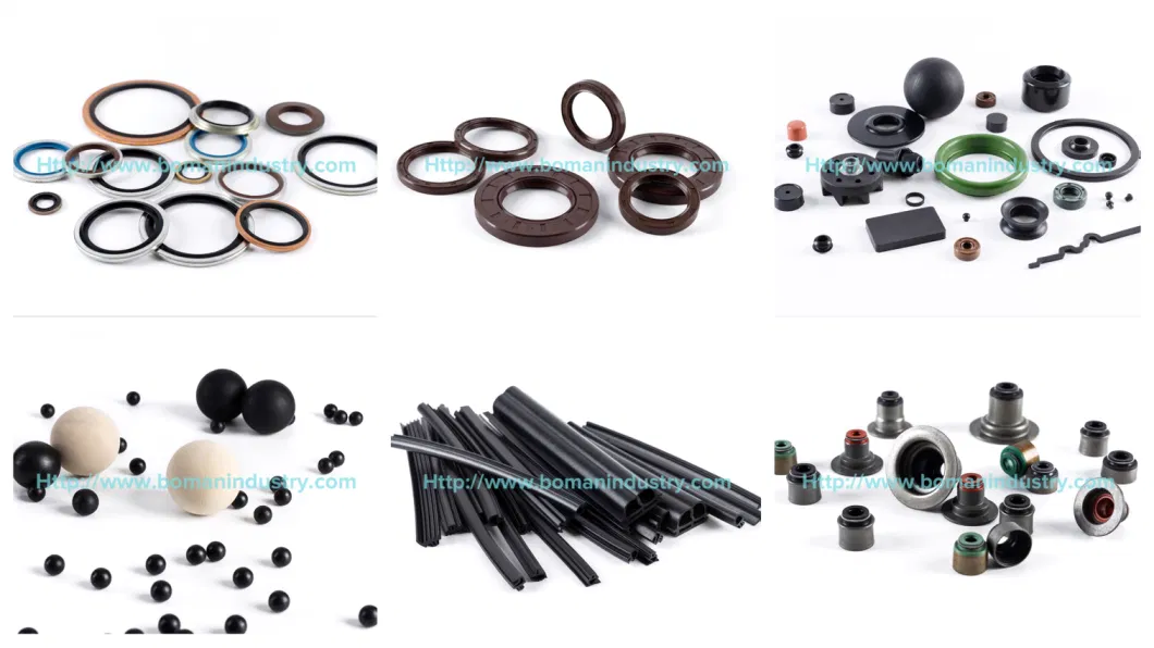 High Quality Silicone FPM NBR Rubber Product Oil Seal (TC/SC/SB/SA/TB/VC/TCN)